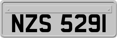 NZS5291