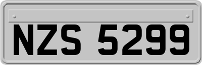 NZS5299
