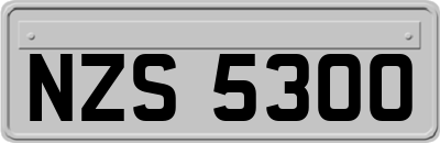 NZS5300
