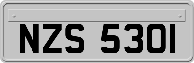 NZS5301