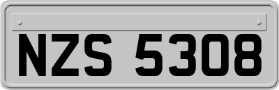 NZS5308