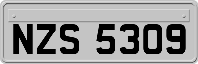 NZS5309