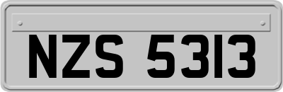 NZS5313