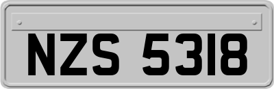 NZS5318