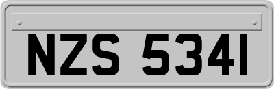 NZS5341