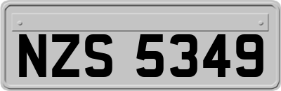 NZS5349