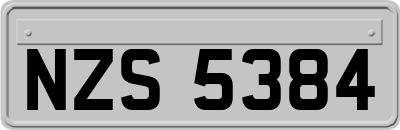 NZS5384