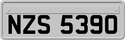 NZS5390