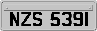 NZS5391