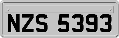 NZS5393
