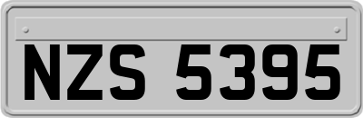 NZS5395