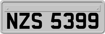 NZS5399
