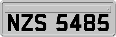NZS5485