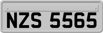 NZS5565