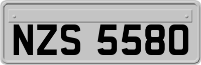 NZS5580