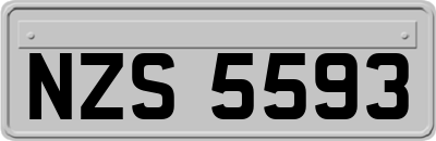 NZS5593