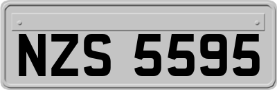 NZS5595