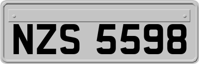 NZS5598
