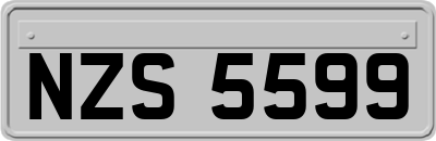 NZS5599