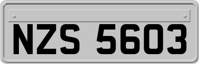 NZS5603