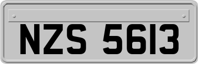 NZS5613