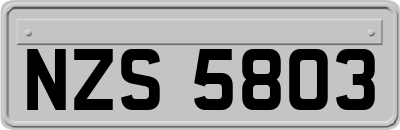 NZS5803