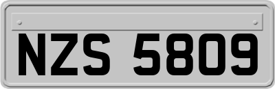NZS5809