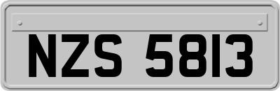 NZS5813