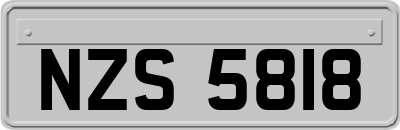 NZS5818