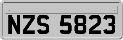 NZS5823