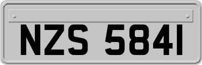 NZS5841