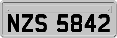 NZS5842