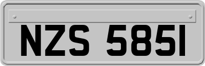 NZS5851