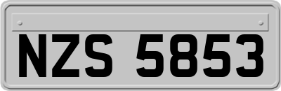 NZS5853