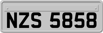 NZS5858