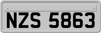 NZS5863