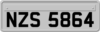 NZS5864