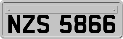 NZS5866