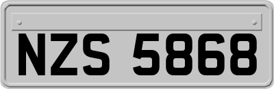 NZS5868