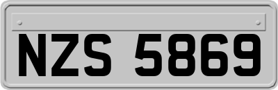 NZS5869
