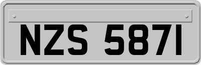 NZS5871