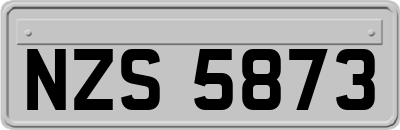 NZS5873