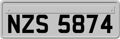 NZS5874