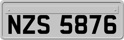 NZS5876