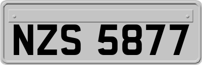 NZS5877