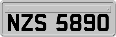 NZS5890