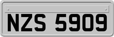 NZS5909