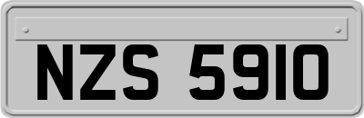 NZS5910