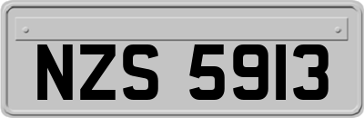 NZS5913