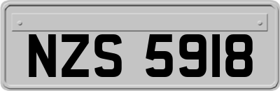 NZS5918